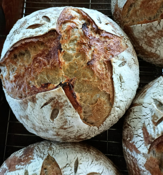Rye Caraway Sourdough